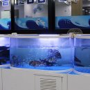 재우해양수산 이미지