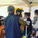 순도리네애견 이미지