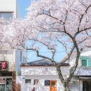 MJ헬스 네이버블로그