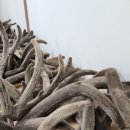 안심한의원 이미지