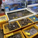 태안선구사 이미지