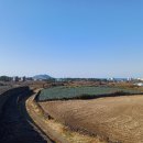 명월성지 이미지