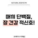 바디짐 티스토리