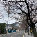 봉수로가로수 네이버블로그