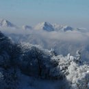 서진헤어 이미지