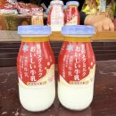 대마도 1박2일