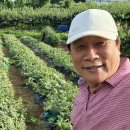 브니엘농장 이미지