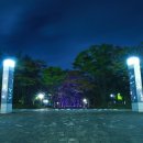 둔산북로90번길 이미지