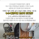 빌라;식당하수구변기배관역류고압세척;배관내시경