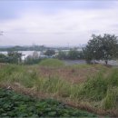 남구-35 이미지