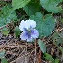 절골체육공원 이미지