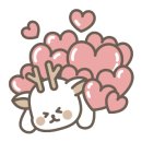 꼬꼬마 강아지 이미지