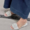 까멜리아 이미지