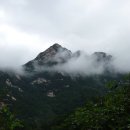 응봉공원6 이미지