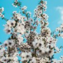 개화전기충전소 이미지