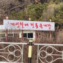 개성할매전통육개장 이미지