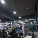 팀 드래곤 이미지