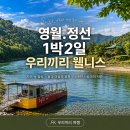 정선가볼만한곳 병방치스카이워크 비오는 날 방문 전 알아둘 점과 현장 후기
