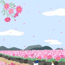 달마당쭈꾸미 이미지