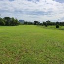 세븐스타 이미지