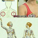 비움 스킨앤바디 네이버블로그