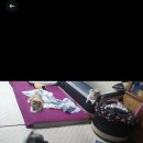 본가 이미지