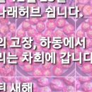 꽃나래허브 이미지