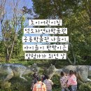 푸른아이세상어린이집 | 🦕 조이어린이집 덕소자연사박물관 공룡박물관 나들이, 아이들이 반짝이는 탐험가가 되던 날