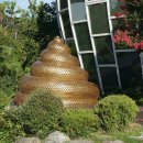 배양2리 이미지