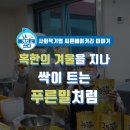 푸른밀