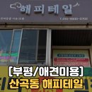 마장로264번길 | 부평 산곡동 애견미용 해피테일 후기! 위생미용에 라벤더 오일 스파까지 받고 너무 만족하고 왔어요!