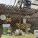 수호농장 | [후기] 경기도 용인 아기랑 가볼 만한 곳 - 팜앤트리 (천혜향 따기, 귤 잼 만들기) 34개월 아기랑