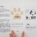 개앓이