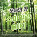 푸른솔과일