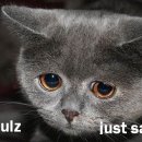 스마트폰길라잡이 이미지