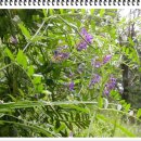 (유)산야 이미지