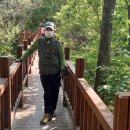 유달산둘레길 이미지