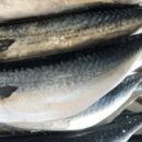 일주동로 이미지