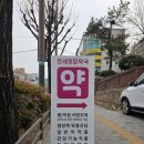 은평자연약국