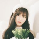 너구리pc 이미지