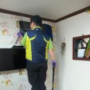 에이스펜션 이미지