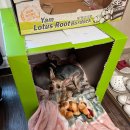 돌고개 휴 펜션 이미지