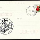 신흥로지선 이미지