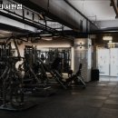 라인핏피티 이미지
