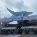 일출수산 | 차박하면서 대게 먹기 주문진수산시장포장 후기:일출횟집