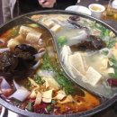 논현양꼬치