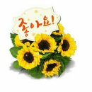 한국자격교육협회