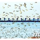 양화 금강변 이미지