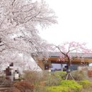 정금교 옆 이미지