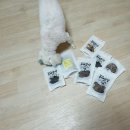 두부네수제간식 이미지